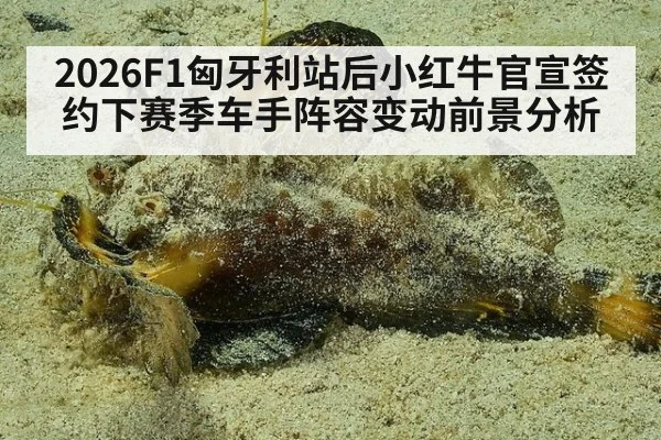 2026F1匈牙利站后小红牛官宣签约下赛季车手阵容变动前景分析