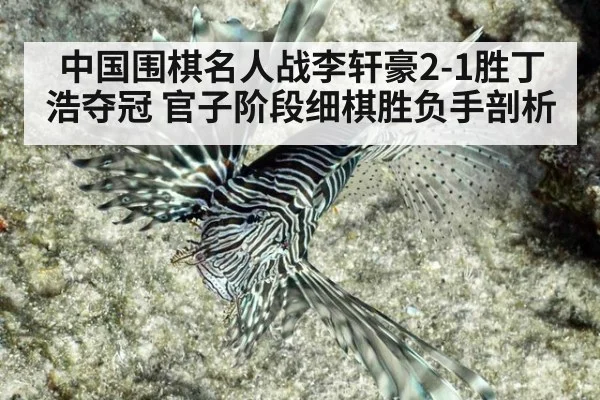 中国围棋名人战李轩豪2-1胜丁浩夺冠 官子阶段细棋胜负手剖析